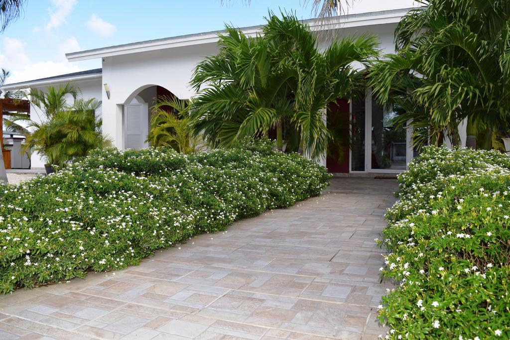 Ladybugs Apartments Palm Beach Eksteriør bilde
